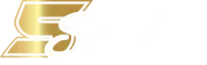5Stakes logosu