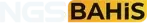 Ngsbahis logosu